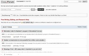 website essay forum