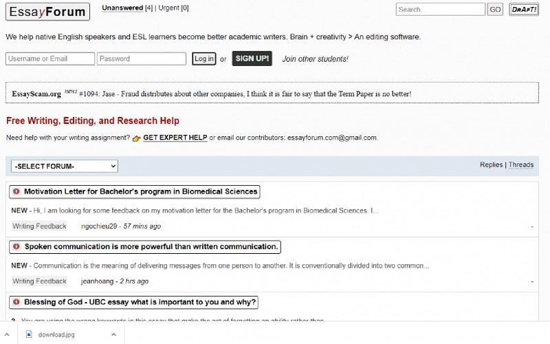 website essay forum