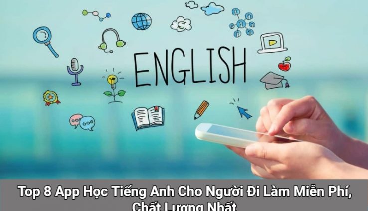 App Học Tiếng Anh Cho Người Đi Làm