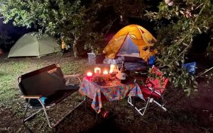 Giá cả và thương hiệu