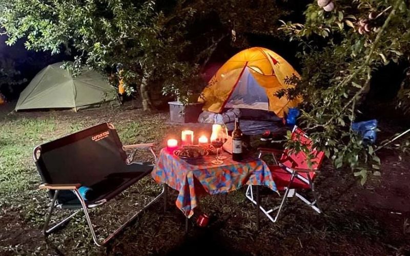 Giá cả và thương hiệu