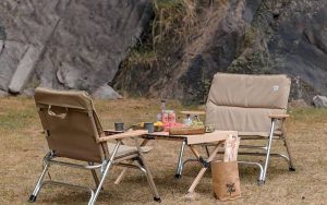 Trọng lượng và tính cơ động