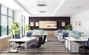 xu hướng nội thất có ánh sáng tự nhiên