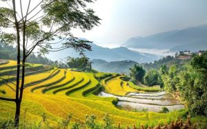 thời điểm tốt nhất để phượt Đông Bắc