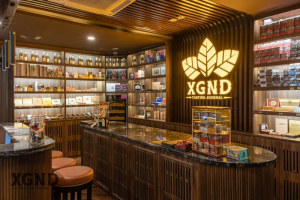 Xì Gà Nghiệp Dư