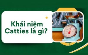 catties là gì