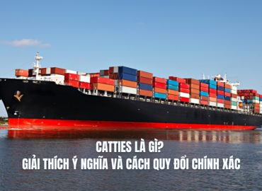 catties là gì