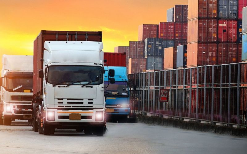 vai trò của catties