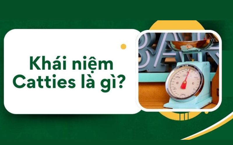 catties là gì